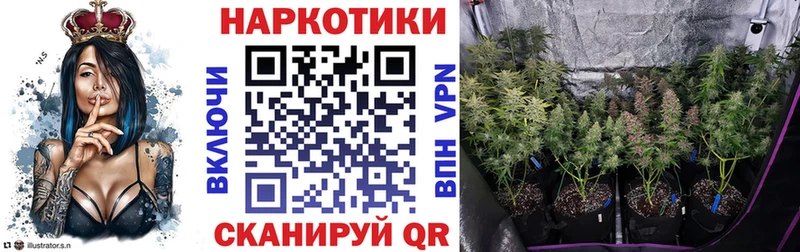 Где найти наркотики Красногорск Марихуана  Cocaine  Гашиш  omg сайт  Меф мяу мяу  Псилоцибиновые грибы 