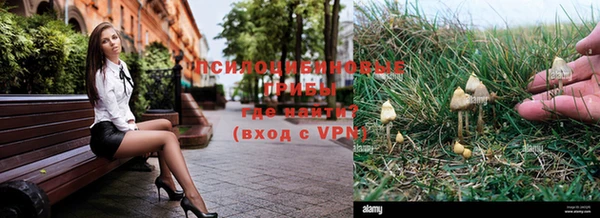 mdpv Волоколамск